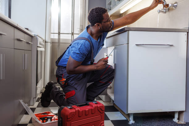 Best Residential Plumbing Services  in Lake Odessa, MI